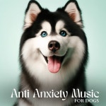 Anti Anxiety Music for Dogs: Sleep Dog Therapy, Calm Stress, Dog Relaxation - Album by Canine Soothness | Spotify Anti Anxiety... 