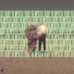 Martyr - song and lyrics by Wy | Spotify Martyr