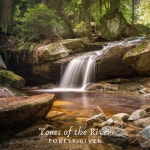 Tones of the River - Album by Forest Giver | Spotify Tones of the River