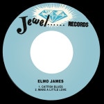 Catfish Blues - song and lyrics by Elmo James | Spotify Catfish Blues