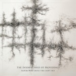 Burrowed Into the Soft Sky - Album by The Doomed Bird of Providence | Spotify