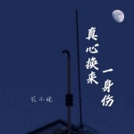 真心换来一身伤 - 伴奏 - song and lyrics by 花不晚 | Spotify 真心换来一身伤 - 伴奏