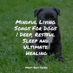 Mindful Living Songs For Dogs | Deep, Restful Sleep and Ultimate Healing - Album by Jazz Music for Dogs | Spotify Mindful Living... 