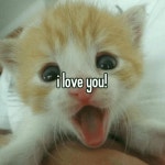 7538 - Me U Remix - song and lyrics by Nguyen Van Hung | Spotify 7538 - Me U Remix