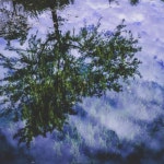 Reflect - song and lyrics by Demenis | Spotify Reflect