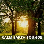Calm Earth Sounds - Album by Earth Sounds | Spotify Calm Earth Sounds