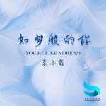 如梦般的你 - song by 袁小葳 | Spotify 如梦般的你