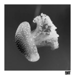 Medusa - Single by d1aZ | Spotify Medusa