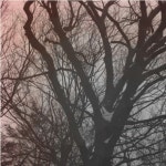 Ambush - song and lyrics by Erameld | Spotify Ambush