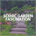Scenic Garden Fascination - Album by Swedish Forest Birds, Natures Orchestra, Actors of Nature | Spotify Scenic Garden Fascination