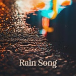 Rain Song - Single by Quiet Point | Spotify Rain Song