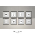 Harbour - song and lyrics by Driftwood DE | Spotify Harbour