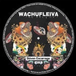 Wachufleiva 28-7 - Original Mix - song by Stiven Escarraga | Spotify Wachufleiva 28-7 - Original Mix