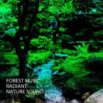 Forest Music: Radiant Nature Sound - Album by The Rain Library, Meditation Music Experience, Music For Your Dog | Spotify Forest... 