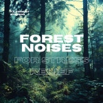 Forest Noises for Stress Relief - Album by FX Forest Sounds | Spotify Forest Noises for Stress Relief