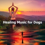Healing Music for Dogs - Album by Healing Yoga Meditation Music Consort, Amazing Spa Music, Relaxing Music for Dogs | Spotify... 