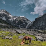 Popcult | Spotify Popcult