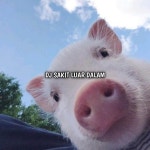 DJ Sakit Luar Dalam - Single by DJ PALSU | Spotify DJ Sakit Luar Dalam