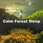Calm Forest Sleep - Album by The Sound Of The Jungle | Spotify Calm Forest Sleep