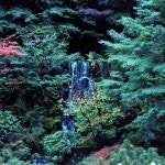 Garden - Single by Jared Daniel | Spotify Garden