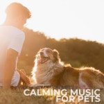 Calming Music For Pets - Album by Sacral Chakra | Spotify Calming Music For Pets