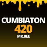 Cumbiaton 420 - Single by Mr.Bee | Spotify Cumbiaton 420