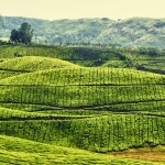 Bad Thoughts - Single by Ethel Hernandez | Spotify Bad Thoughts