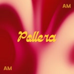 Pollera - song and lyrics by Afro Medusa | Spotify Pollera