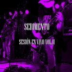 Sesión en vivo Vol. 2 - EP by Sedimento | Spotify Sesión en vivo Vol. 2
