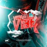 Viciada na Vibe - Single by Dj Vitin do Pc | Spotify Viciada na Vibe