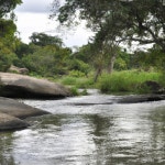 Piano Relaxante (6) - song by Relaxing Music | Spotify Piano Relaxante (6)