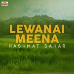 Lewanai Meena - Album by Hashmat Sahar | Spotify Lewanai Meena