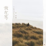 我在等 - song and lyrics by 林寶馨 | Spotify 我在等