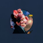 Dont Pick The Rose - Single by 우디로즈 | Spotify Dont Pick The Rose