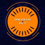 Stem For You, Vol. 17 (Special Instrumental And Separate Sound Tracks) - Album by Kar Fresh | Spotify Stem For You, Vol. 17... 