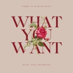 What You Want - Single by Teddy SA | Spotify What You Want