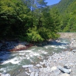 Smoke and Rain - song by weiguo lin | Spotify Smoke and Rain