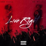 Live Right - Single by KND Kadoe | Spotify Live Right