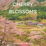 Cherry Blossoms - song and lyrics by Stéphane Fontaine | Spotify Cherry Blossoms