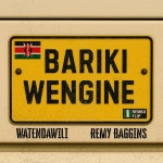 Bariki Wengine (Rembo Flip) - Remix - song and lyrics by Watendawili, Remy Baggins | Spotify Bariki Wengine (Rembo Flip) - Remix