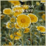 Liquidating Whereinto - Compilation by Various Artists | Spotify Liquidating Whereinto