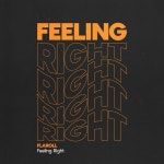 Feeling Right - song and lyrics by Flaroll | Spotify Feeling Right