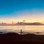 Thin Veil Disguise - Single by Taylor Winchester | Spotify Thin Veil Disguise