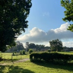 The Pain - Single by Mic Gamble | Spotify The Pain