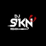 SKN MUSIC | Spotify SKN MUSIC