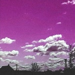 Palm Trees - Single by Rozzy | Spotify Palm Trees