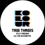 Stay Present / All the Goodbyes - Single by Tree Threes | Spotify Stay Present / All the Goodbyes