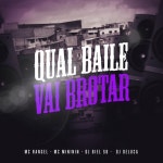 Qual Baile Vai Brotar - song and lyrics by MC RANGEL, Mc Mininin, Dj Deluca, Dj Biel Sb | Spotify Qual Baile Vai Brotar