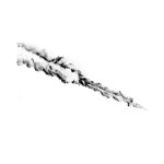 The Scorched Earth Interpretations - Single by Konrad Black | Spotify