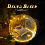 Delta Sleep Sanctuary: Healing Frequencies for Deep Rest, Meditation and Chakra Balance - Album by Sleep & Dream Music Academy... 